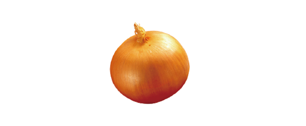 材料画像：玉ねき