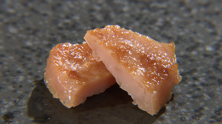 細胞性食品の研究