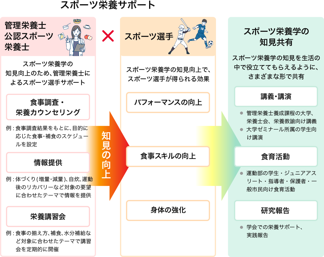 スポーツ栄養サポート