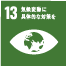 13.気候変動に具体的な対策を