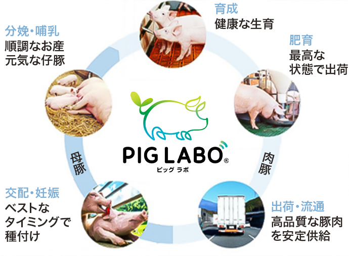 PIG LABO®サービス概要図