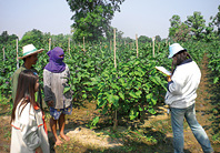 NH Foods group primarily conducts the following audits: