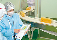 NH Foods group primarily conducts the following audits: