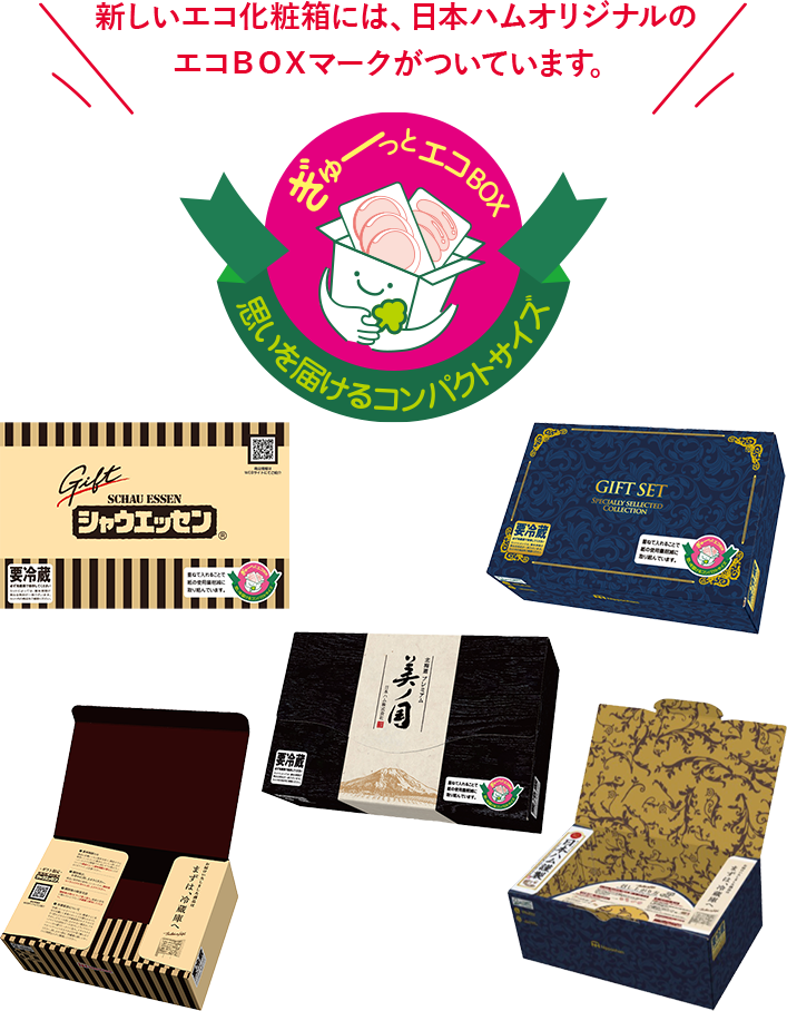 エコ型化粧箱の取り組み ラインナップ