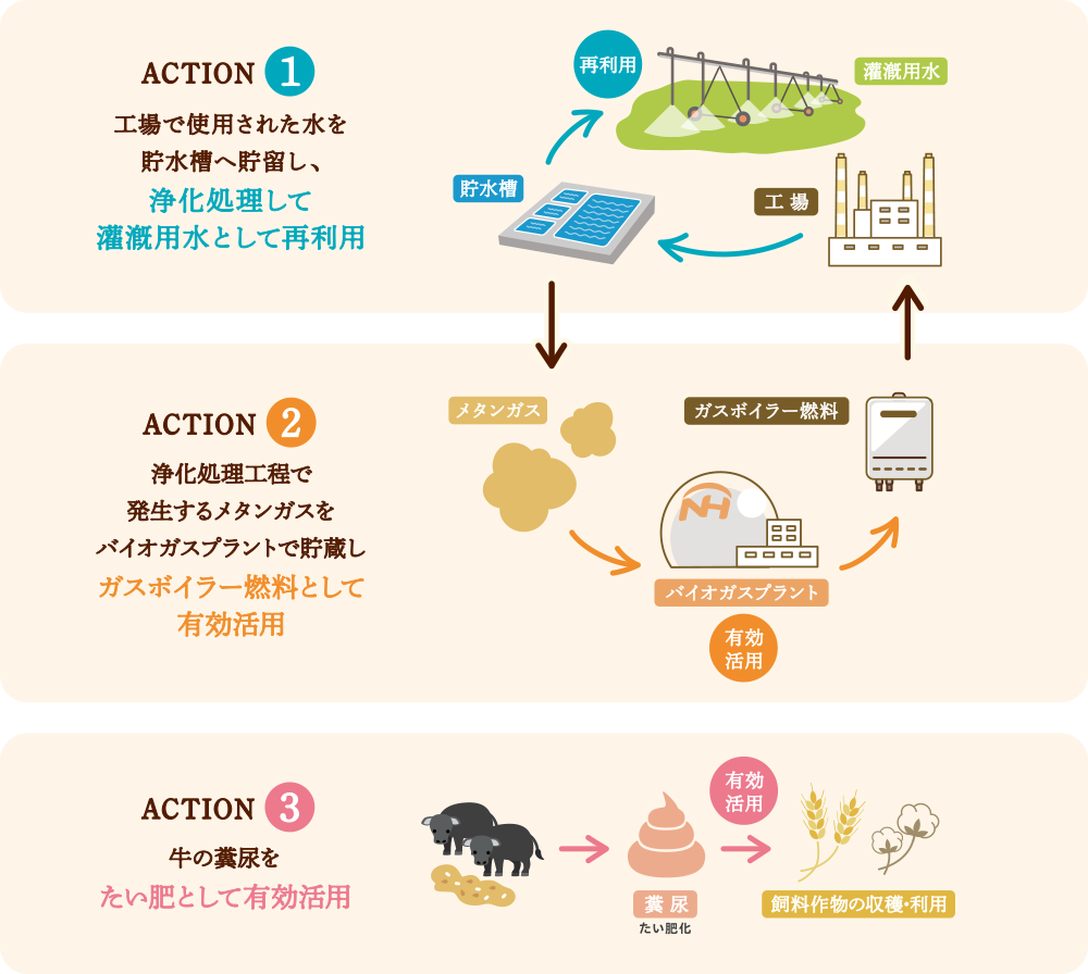 サステナブルな取り組み フロー