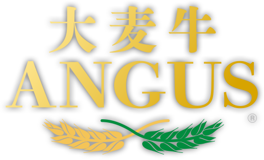 大麦牛ANGUS