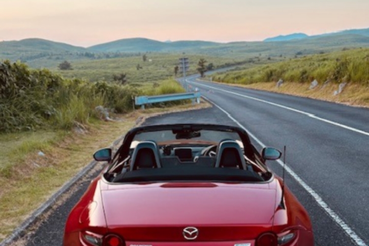 休日の過ごし方