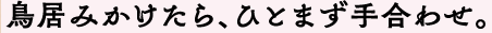 鳥居をみたらひとまず手合わせ。
