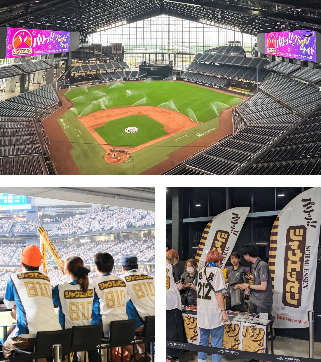 画像：パリッ！！とナイトの様子