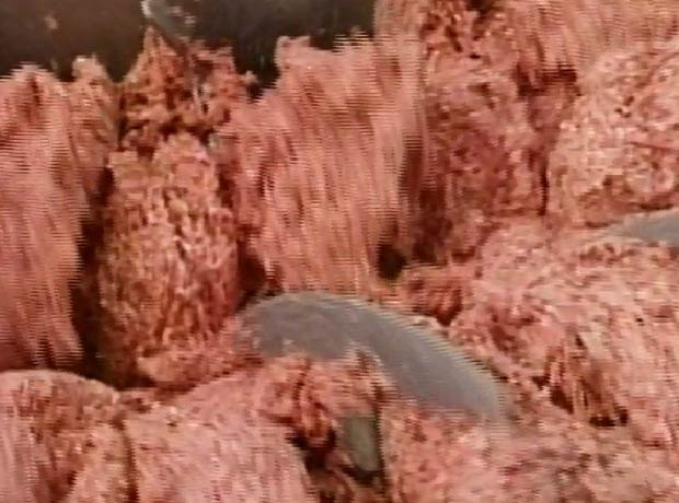 画像：作業・加工の様子