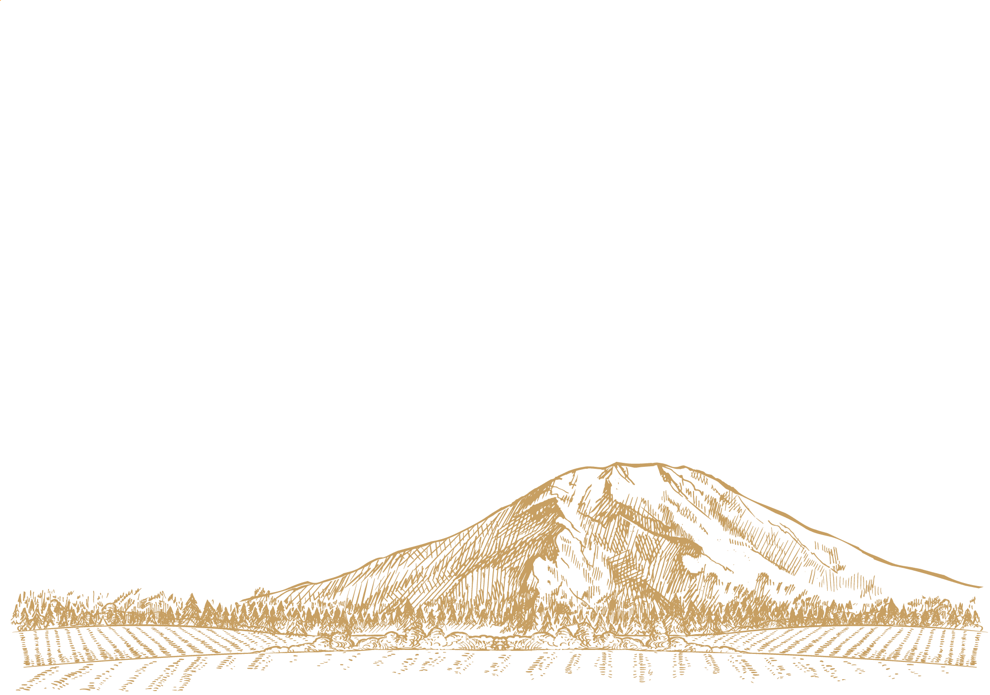 画像：美ノ国とは背景 / 山のイラスト