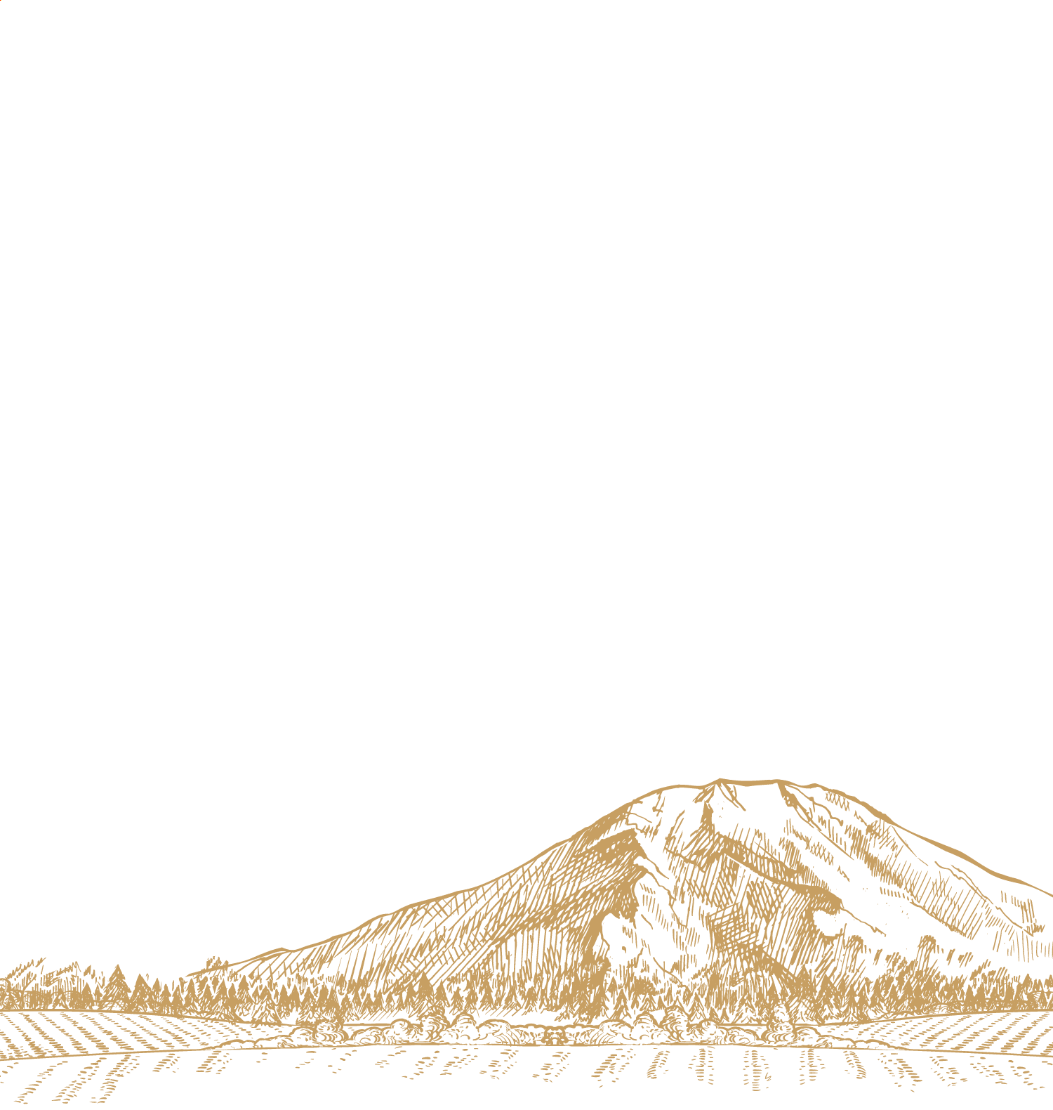 画像：美ノ国とは背景 / 山のイラスト