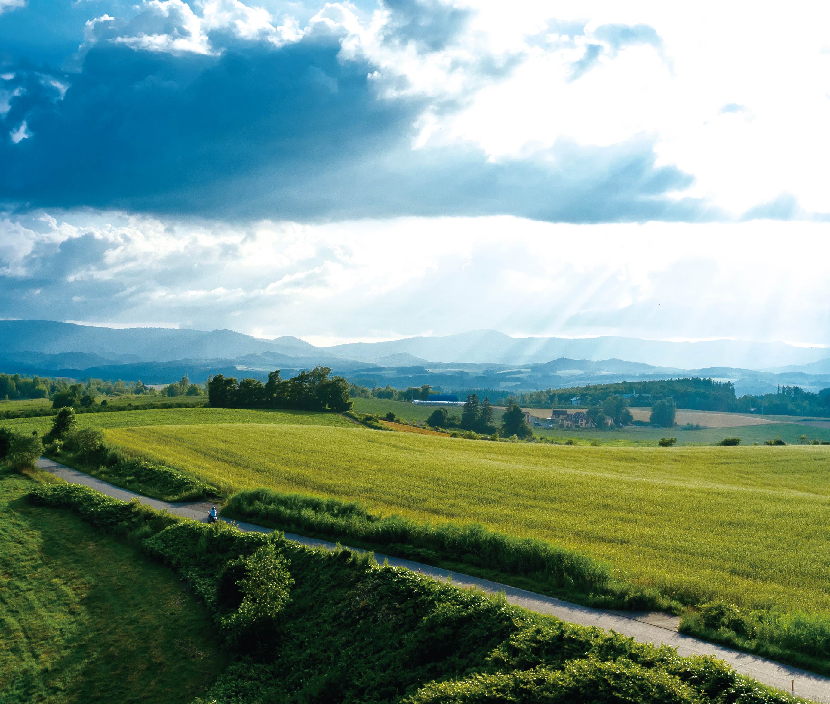 背景画像：牧場の風景